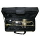 thumbnail image 3 of Trompeta Gold Allegro All6416L, 3 of 3