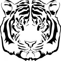 Rienda Libre Graphics - Decomural Tiger Head Big Cats Ws-32708
