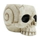 thumbnail image 3 of Maceta Con Forma De Calavera, Adorno De Escritorio De Resina Con Cabeza De Esqueleto Para Escritorio, Dormitorio Y Hogar, 3 of 3