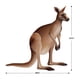 thumbnail image 2 of Decoración Beistle Jointed Kangaroo del interior de Australia, 2 of 7