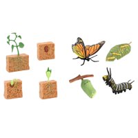 Bothyi - Conjuntos De Ciclo De Vida, Figuras De Juguete, Mariposas Y Plantas De Frijol, Ciencia Para Niños