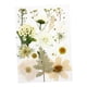 thumbnail image 1 of 1 Bolsa De Flores Prensadas Secas, Hojas Secas De Pétalos Reales Para Manualidades, Calcomanía Blanca, 1 of 5