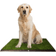 thumbnail image 1 of Alfombra Sanitaria De Césped Sintético Para Perros Con Bandeja, 1 of 5