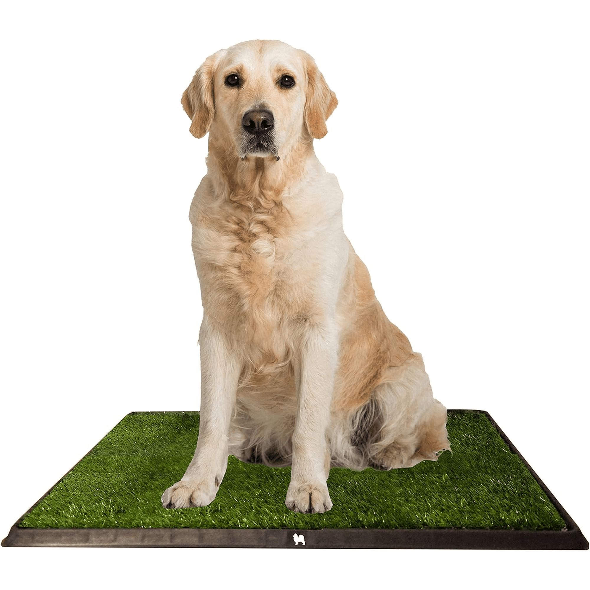 Movi - Alfombra Sanitaria De Césped Sintético Para Perros Con Bandeja