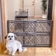 thumbnail image 1 of Pet Gate MYPET Paws, portátil, 23 cm de alto, 66 a 101 cm de ancho, fabricado en EE. UU., 1 of 6