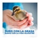 thumbnail image 4 of Lavalozas Original Blue Concentrado, 638 ml, 4 of 4