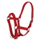 thumbnail image 5 of Correas de nylon ajustables Equitación Western Horse Halter Equitación Equitación Rojo S, 5 of 5