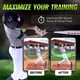 thumbnail image 4 of Swing Trainer Aid SWINGRAIL para béisbol y sóftbol durante más de 9 años, 4 of 8