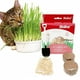 thumbnail image 2 of Kit Completo Siembra Pasto Para Gatos Bioline Cat Grass, 2 of 2