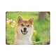 thumbnail image 1 of Shiba Inu Cartel Metálico, Decoración de Pared de Cartel Metálico Personalizado para Regalos de Fans, Amigos, Familia y Amantes 20*30CM, 1 of 6