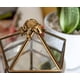 thumbnail image 5 of Joyero organizador Ukonic Harry Potter Gold Chocolate Frog, 5 of 7