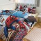 thumbnail image 1 of Spiderman Print Bedding Set Pattern Duvet Cove Set 3 Pieces 1 Quilt Cover And 2 Pillowcases for Women Men Teens, 1 of 5