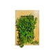 thumbnail image 1 of Cuadro Jardín Vertical Rectangular, 1 of 3