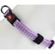 thumbnail image 2 of Collar De Paseo Nylon Gigwi Reflectante Para Perro Pequeño Lila Rayado S: 20-30cm De Circunferencia, 2 of 9