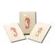 thumbnail image 4 of Juego de tarjetas de notas Earth Sky + Water – 8 unidades (9 cm × 13 cm), 4 of 4
