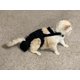 thumbnail image 3 of Pañal para gato Crazy K Farm negro ajustable, 3 of 4