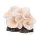 thumbnail image 4 of Adorno De Coral Artificial, Decoración De Pecera Para Balcón, Porche, Patio, Blanco Y Naranja, 4 of 5
