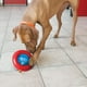thumbnail image 3 of Kong Gyro Dispensador De Alimento Para Perro Talla L 16+ Kg Rojo/azul, 3 of 4