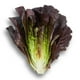 thumbnail image 1 of Lechuga Costina Morada Bolsa, 1 Un, 1 of 2