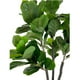 thumbnail image 3 of Planta Artificial Ficus Lyrata Premium 180 cm. / 88 Hojas, 3 of 6