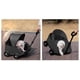 thumbnail image 2 of CARRO PLEGABLE PARA MASCOTA BLACK, 2 of 4
