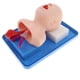 thumbnail image 1 of Modelo De Práctica Repetida De Cánula De Tubo De Aire De Maniquí De Intubación Infantil, 1 of 4