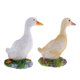 thumbnail image 4 of 2 unids Jardín Regalo Granja Resina Animal Ornamento Estanque Agua Pato Permanente S, 4 of 5