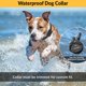thumbnail image 5 of Collar Educador para Entrenamiento Canino ET-802 a Distancia Impermeable 1.6 km, 5 of 6