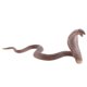 thumbnail image 1 of Animal Modelo Estatuilla Ni?os Zoológico Educativo Animal/árbol Juguete Accesorios Regalos I, 1 of 3