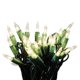 thumbnail image 2 of Luces de cadena NOMA/INLITEN-IMPORT 50 unidades claras, 2 of 7