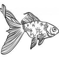 Rienda Libre Graphics - Decomural Gold Fish Ws-50871