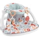 thumbnail image 1 of Silla de Piso FisherPrice SitMeUp Portátil Fresh Floral Bebé, 1 of 3