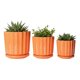 thumbnail image 2 of Set 3 Macetas Decorativas Diseño Canales Verticales AJ, 2 of 3