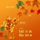 thumbnail image 5 of Aerosol ambientador Febreze Crisp Fall Breeze, 260 ml, paquete de 3, 5 of 9