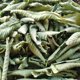 thumbnail image 3 of Té GEELOD de hoja de guayaba – 50 bolsas de 110 g – natural y vegano, 3 of 6