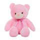 thumbnail image 4 of Light Up LED Teddy Bear Animal Plush Toy Juguetes Para Ni?os Regalos Pink-30cm, 4 of 5