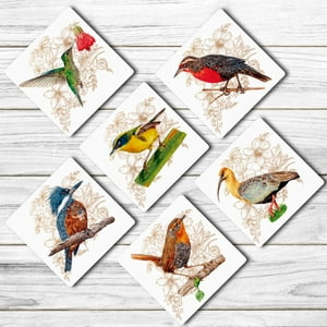 Bendito - Set 6 Posavasos Aves De Chile