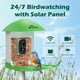 thumbnail image 2 of Comedero Inteligente RichBird con Cámara y Energía Solar, 2 of 9