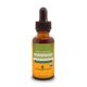 thumbnail image 1 of Extracto líquido Herb Pharm Wormwood Digestive System 30 ml, 1 of 3