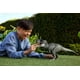 thumbnail image 2 of Figura de dinosaurio Mattel Jurassic World Rebirth Tyrannosaurus Rex, 2 of 3