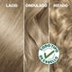 thumbnail image 4 of Coloración Nutrisse Cabello Ultra Cobertura 81 Rubio Claro Cenizo Profundo, 4 of 7