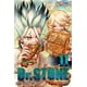 thumbnail image 1 of Manga Dr Stone 11 Panini Argentina, 1 of 2