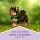 thumbnail image 2 of Dog Chow Para Perros Cachorros Razas Pequeñas 19.5 Kg., 2 of 6