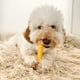 thumbnail image 2 of Tall Tails Hueso De Goma Natural Goat Juguete Para Perro S, 2 of 6