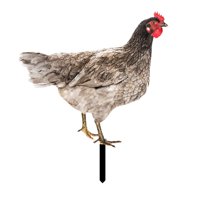 Magideal - Estaca De Gallo Para Jardín, Escultura De Estatua De Jardín De Gallina, Adorno De Césped Para Granja, Vacaciones, Exterior, Cumpleaños, Patio Trasero Estilo B