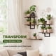 thumbnail image 2 of Estantes flotantes de pared Bamworld, paquete de 2, marrón, soporte para plantas, 2 of 7