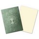 thumbnail image 4 of Fundas de cartas Dragon Shield 100 uds Selesnya Conclave, 4 of 8