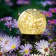 thumbnail image 4 of Luces solares para jardín SyouHome, paquete de 6, LED impermeables, 3,9", 4 of 7
