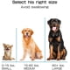 thumbnail image 3 of Juguetes para perros: Juguetes masticables duraderos para perros grandes y medianos con mordedores agresivos, huesos de goma para la dentición de cachorros, juguetes interactivos para masticar, cepill, 3 of 7