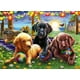 thumbnail image 1 of Puzzle Ravensburger Puppy Picnic de 100 piezas para niños, 1 of 6